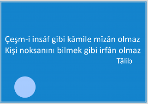 Kişi başkalarını, kendisini eleştirir gibi tenkit etmelidir.